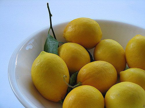 Evdə bir qazanda limon yetişdirin.  Bağlı limona qulluq - qidalanma.  Limonun qapalı şəkildə yayılması: fotoşəkil və təsvir