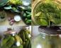 Pasiruošimai žiemai iš agurkų: „Auksiniai receptai
